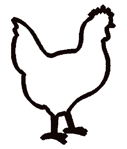Aves